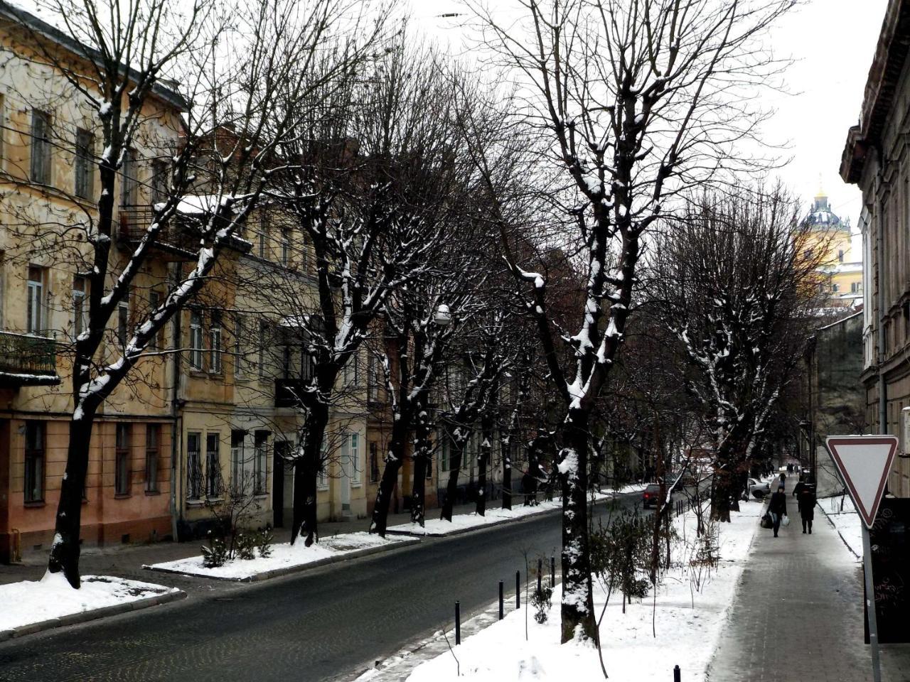 With Dom Studio Lejlighed Lviv Eksteriør billede